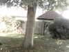 20200920-MOVI0045-frame0003.jpg