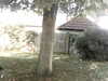 20200920-MOVI0045-frame0004.jpg