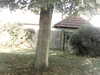 20200920-MOVI0046-frame0001.jpg