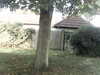 20200920-MOVI0046-frame0002.jpg