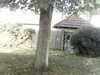 20200920-MOVI0046-frame0003.jpg