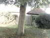 20200920-MOVI0046-frame0004.jpg
