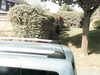 20200920-MOVI0047-frame0003.jpg