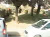 20200920-MOVI0047-frame0005.jpg