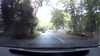 20200925-052452A-frame0002.jpg