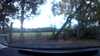 20201007-200254A-frame0002.jpg