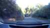 20201008-045830A-frame0003.jpg