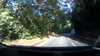 20201008-045830A-frame0005.jpg