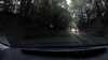 20201009-054437A-frame0003.jpg