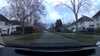 20210313-080005A-frame0003.jpg