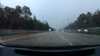 20210313-170241A-frame0005.jpg