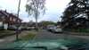 20210405-102814A-frame0002.jpg