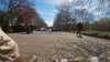 20210418-GH010005-frame0001.jpg