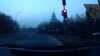 20210421-055348A-frame0003.jpg