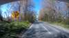 20210423-124237A-frame0004.jpg