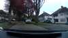 20210508-174601A-frame0002.jpg