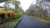 20210517-094302A-frame0002.jpg