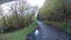 20210517-095302A-frame0003.jpg