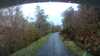 20210517-165524A-frame0001.jpg
