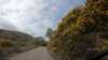 20210519-GXAA0476-frame0001.jpg