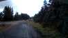 20210519-100224A-frame0003.jpg