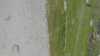 20210520-00007-frame0003.jpg