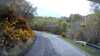 20210521-104905A-frame0004.jpg