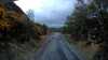 20210521-105405A-frame0002.jpg