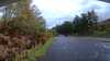 20210521-163656A-frame0002.jpg
