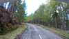 20210521-135124A-frame0001.jpg