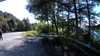 20210521-170850A-frame0001.jpg