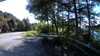 20210521-170850A-frame0002.jpg