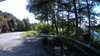 20210521-170850A-frame0003.jpg