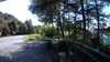 20210521-171350A-frame0001.jpg