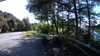 20210521-171350A-frame0002.jpg