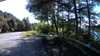 20210521-171350A-frame0003.jpg