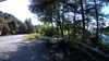 20210521-171850A-frame0001.jpg