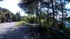 20210521-172350A-frame0003.jpg