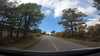 20210522-GXAD0549-frame0002.jpg