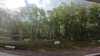 20210522-GXAE0560-frame0004.jpg