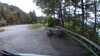 20210523-091021A-frame0005.jpg