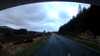 20210524-143942A-frame0001.jpg