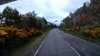20210524-175955A-frame0005.jpg