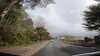 20210524-GXAC0621-frame0003.jpg