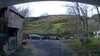 20210525-101423A-frame0005.jpg