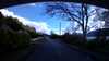 20210525-175508A-frame0003.jpg