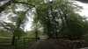 20210525-GXAA0632-frame0003.jpg