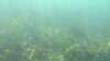 20210526-00008-frame0003.jpg