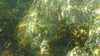 20210526-00008-frame0007.jpg