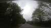 20210526-GXAA0662-frame0004.jpg
